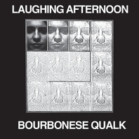 Laughing Afternoon (Vinyl) Mp3