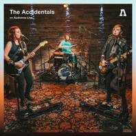 The Accidentals On Audiotree Live Mp3