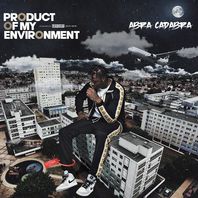 Product Of My Environment Mp3