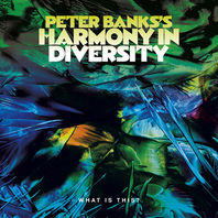 Peter Banks's Harmony In Diversity - The Complete Recordings CD2 Mp3