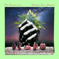 Natural Born Chillers Mp3