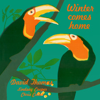Winter Comes Home (Vinyl) Mp3