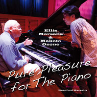 Pure Pleasure For The Piano Mp3