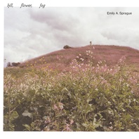 Hill, Flower, Fog Mp3