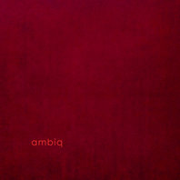 Ambiq (With Claudio Puntin & Samuel Rohrer) Mp3