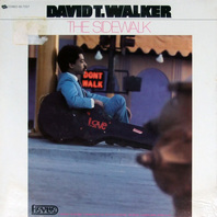 The Sidewalk (Vinyl) Mp3