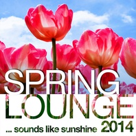 Spring Lounge 2014 (Sounds Like Sunshine) Mp3