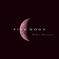 Pink Moon Mp3