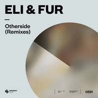 Otherside (Remixes) (CDS) Mp3
