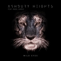 Wild Eyes (CDS) Mp3