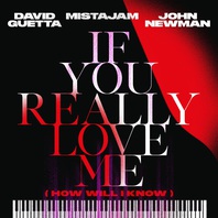 If You Really Love Me (How Will I Know) (With Mistajam & John Newman) (CDS) Mp3