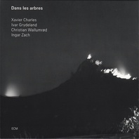 Dans Les Arbres (With Ivar Grydeland, Christian Wallumrød & Ingar Zach) Mp3
