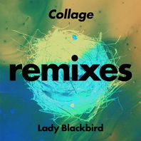 Collage (Remixes) Mp3