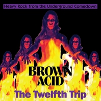 Brown Acid: The Twelfth Trip (Heavy Rock From The Underground Comedown) Mp3