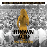 Brown Acid: The Tenth Trip (Heavy Rock From The Underground Comedown) Mp3