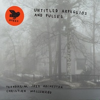 Untitled Arpeggios And Pulses (With Christian Wallumrød) Mp3