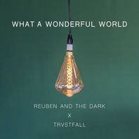 What A Wonderful World (Acoustic) (Feat. Trvstfall) (CDS) Mp3