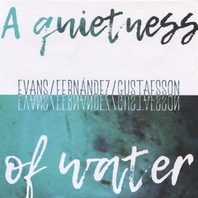 A Quietness Of Water (With Agusti Fernandez & Mats Gustafsson) Mp3