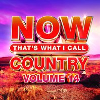 Now That's What I Call Country Vol. 14 Mp3