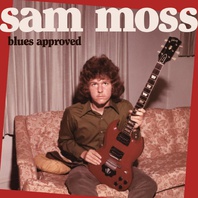 Blues Approved Mp3