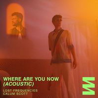 Where Are You Now (Acoustic) (With Calum Scott) (CDS) Mp3