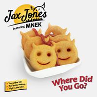 Where Did You Go? (Feat. Mnek) (CDS) Mp3