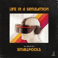 Life In A Simulation Mp3