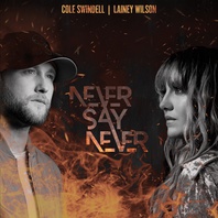 Never Say Never (Feat. Lainey Wilson) (CDS) Mp3