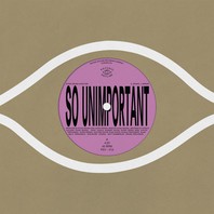 So Unimportant (Feat. Bon Iver) (CDS) Mp3