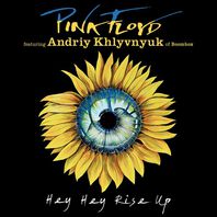 Hey, Hey, Rise Up (Feat. Andriy Khlyvnyuk Of Boombox) (CDS) Mp3