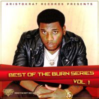 Best Of Burn Series Vol. 1 Mp3