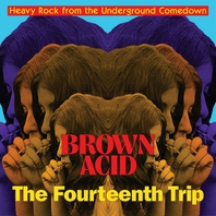 Brown Acid: The Fourteenth Trip Mp3