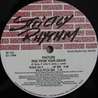 Rise From Your Grave (VLS) Mp3