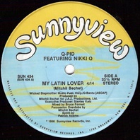 My Latin Lover (Featuring Nikki Q) (VLS) Mp3