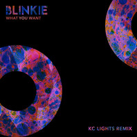 What You Want (Kc Lights Extended Remix) (CDS) Mp3