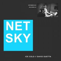 Ice Cold (Original Mix) (Feat. David Guetta) (CDS) Mp3