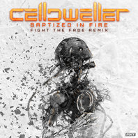Baptized In Fire (Fight The Fade Remix) (CDS) Mp3