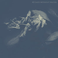 40 Days Without Water Mp3