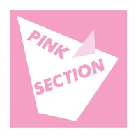 Pink Section Mp3