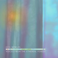 Voices From The Ethereal Forest Mp3