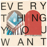Everything You Want Mp3