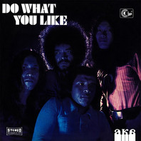 Do What You Like (Vinyl) Mp3