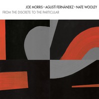 From The Discrete To The Particular (With Agusti Fernandez & Nate Wooley) Mp3