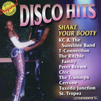 Disco Hits: Shake Your Booty Mp3