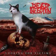 Looking For Victims / The Idealist (With Parricide) (Split) Mp3
