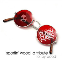 Sportin' Wood: A Tribute To Roy Wood Mp3