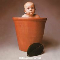 Baby James Harvest (Expanded & Remastered Edition) CD1 Mp3