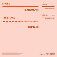 Trainmann (Tensnake Remixes) (EP) Mp3
