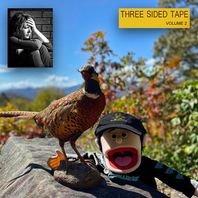 Three Sided Tape Vol. 2 CD1 Mp3