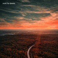 Music For Drones Mp3
